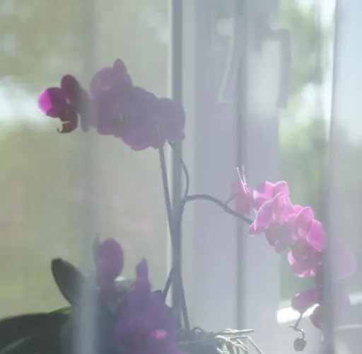 Apartmán Cosy 3 2 Bathroom Old Town Krakov