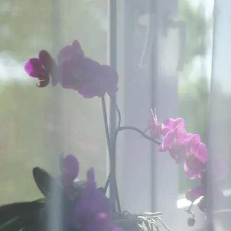 Апартаменты Cosy 3 2 Bathroom Old Town Краков